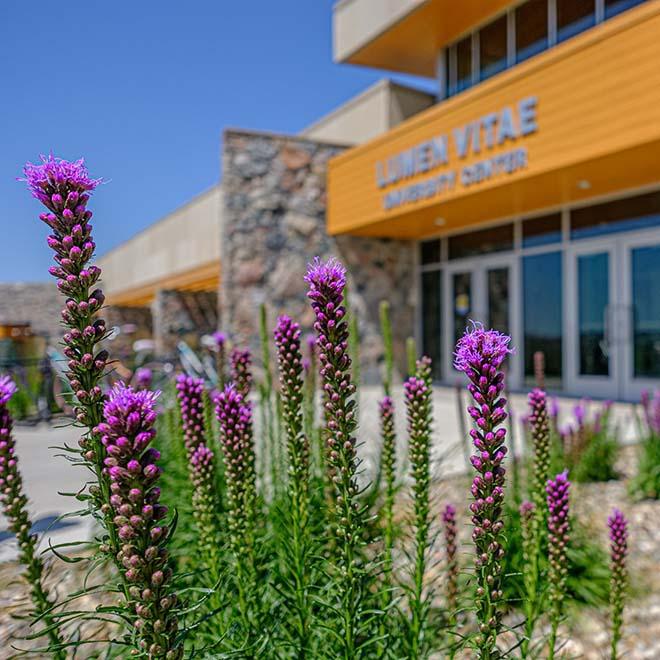 Closeup of flowering plants in front of Lumen Vitae University Center