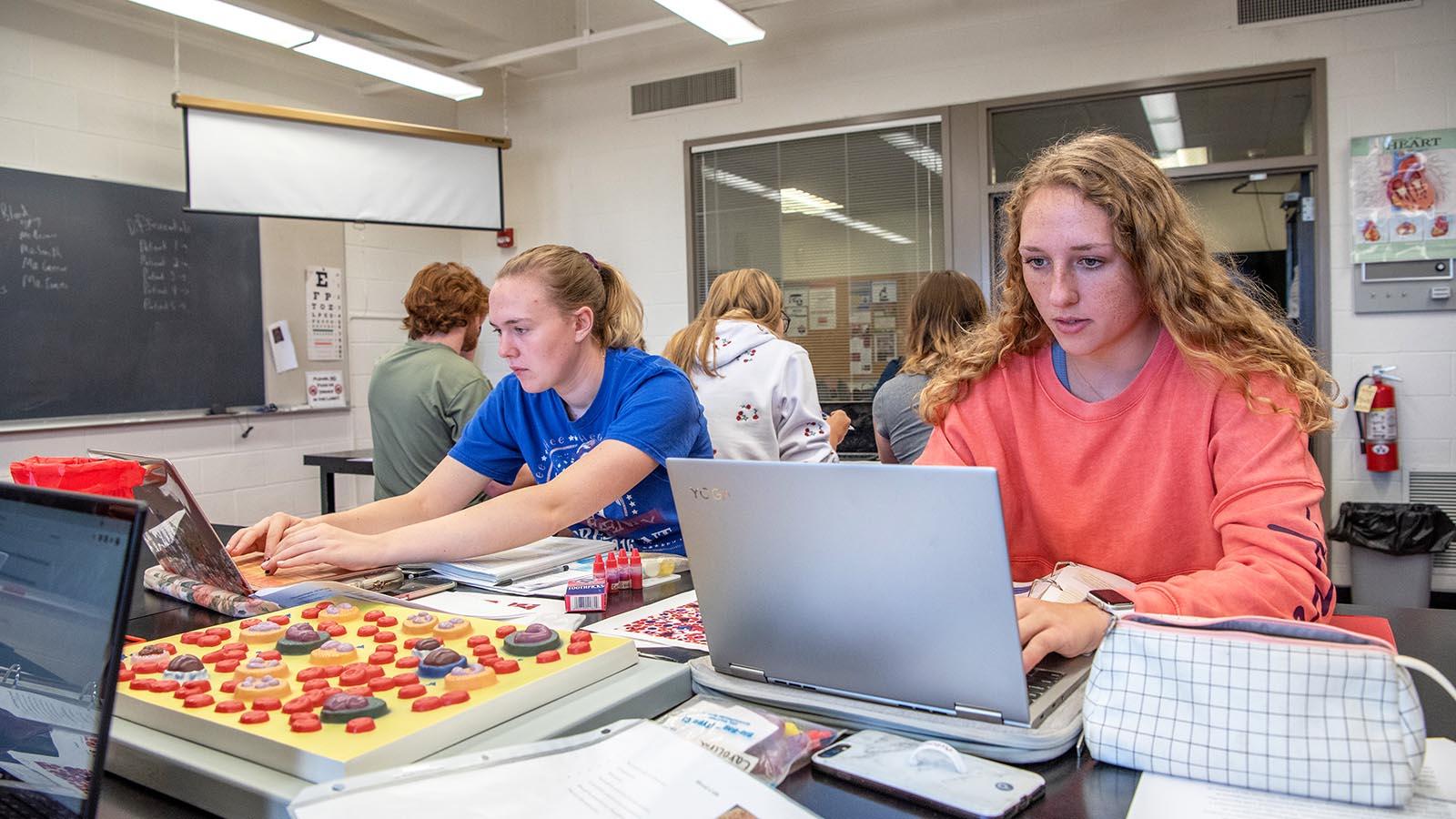 Students in anatomy class taking notes as they review models of blood cells