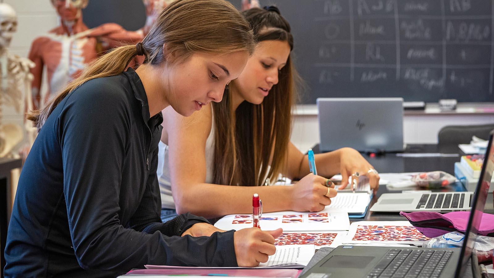  Two students working on anatomy homework.