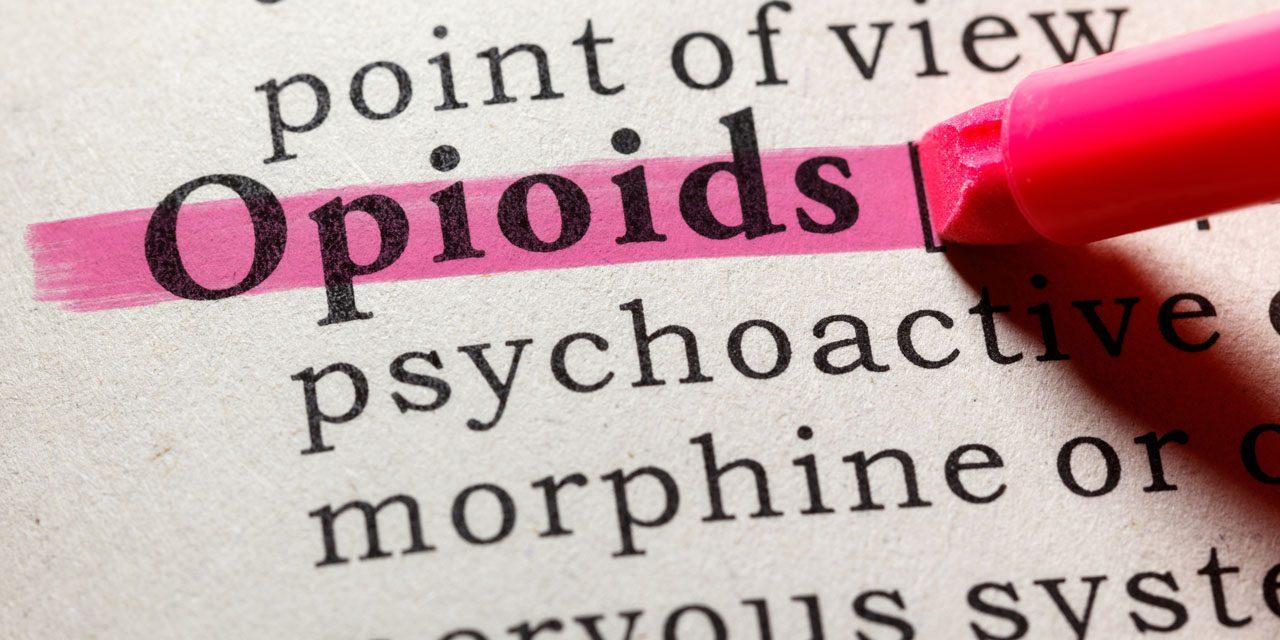 Word "opioids" highlighted in text.