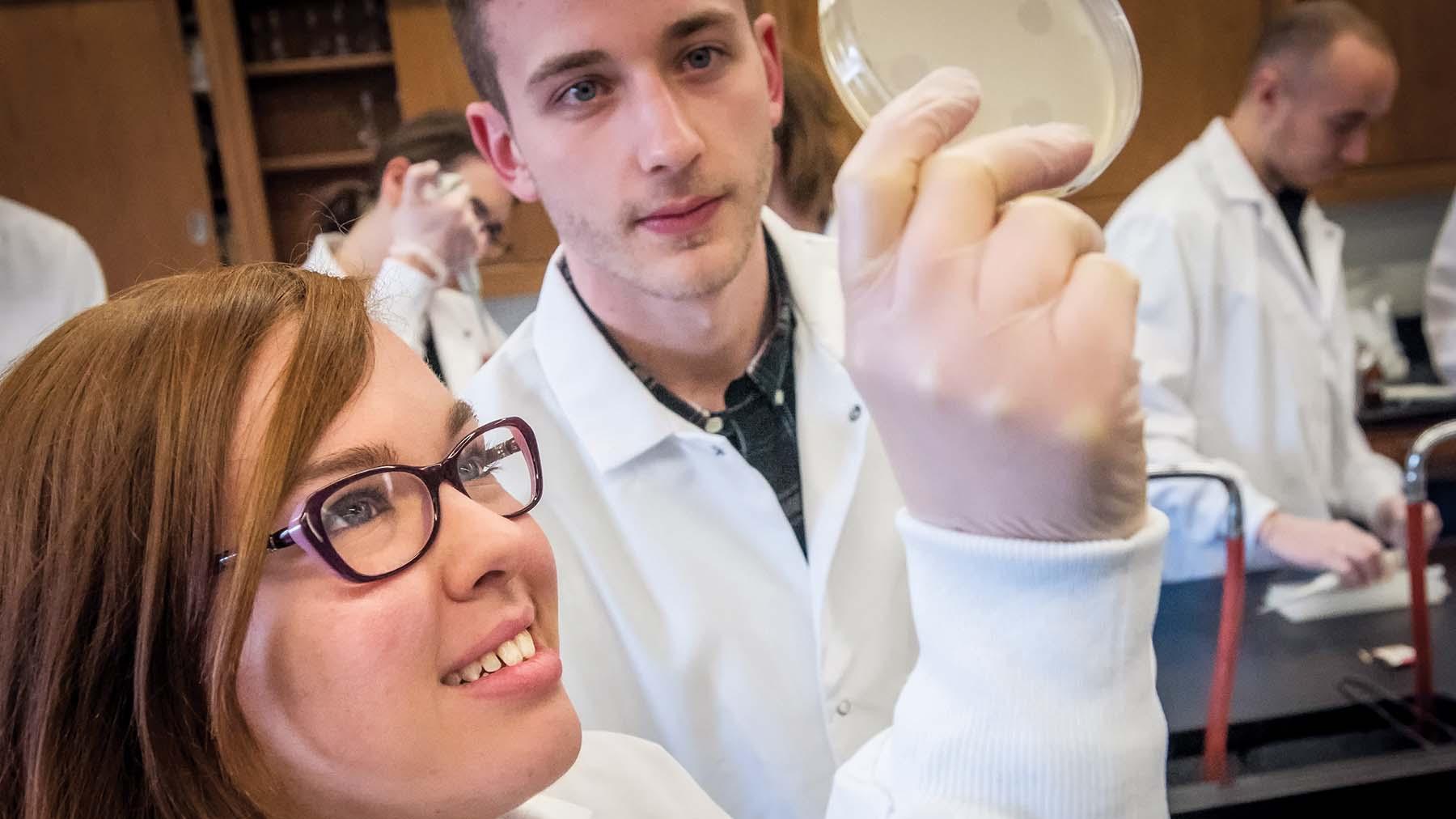 Two students in biology lab examining a petri dish