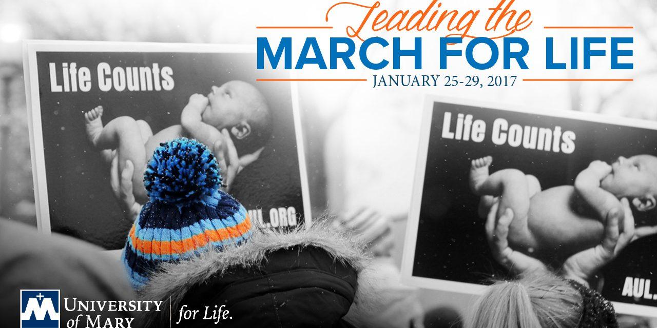 March for Life Graphic