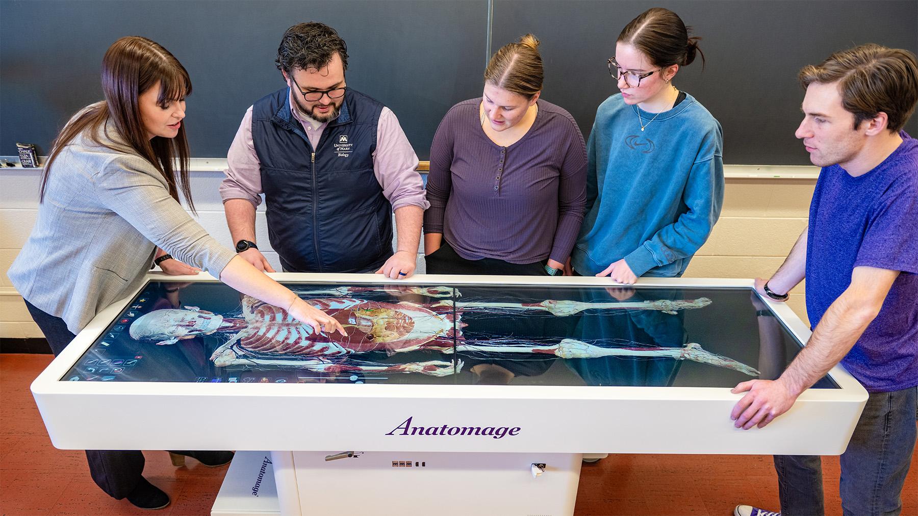 Students learning about the human body on Anatomage.