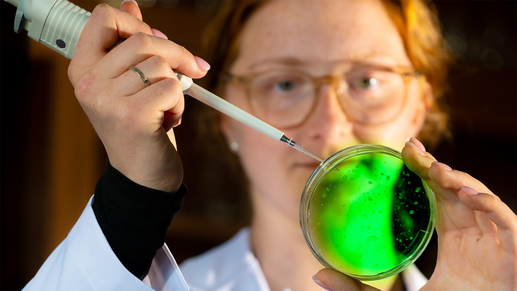 A student working on a mico biology lab test.